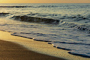 Golden Morning Glow Photograph by Liz Albro