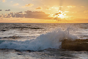 Golden Rays Photograph by Local Snaps Photography