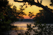 Golden Sky On Lost Lake Photograph by Owen Weber
