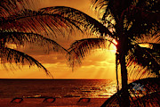 Golden Sunrise Photograph by Meta Gatschenberger
