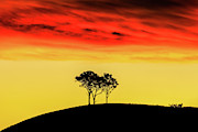 Golden Valley Photograph by Az Jackson