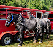 Good Friends at the Mountain Heritage Festival Photograph by L Bosco
