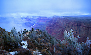 Grand Canyon Winter Scene Photograph by Chance Kafka