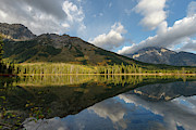 Grand Tetons and fall Photograph by Ronnie And Frances Howard
