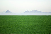 Green Open Field Photograph by George Diebold