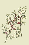 Green Snake Painting by Mark Catesby