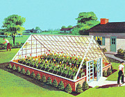 Greenhouse in Backyard Drawing by CSA Images Greenhouse in Backyard Drawing by CSA Images