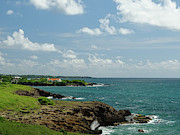 Grenada Coast Photograph by Dan Podsobinski
