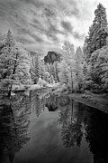 Half Dome Photograph by Liordrz© Photography