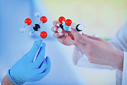 Hands Holding Molecular Structure Photograph by Science Photo Library