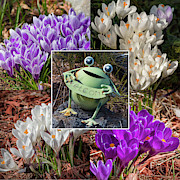Happy Spring Photograph by Mark Mille Happy Spring Photograph by Mark Mille