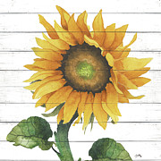 Happy Sunflower II Photograph by Elizabeth Medley