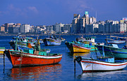 Harbour View With Fishing Boats, Low Photograph by John Elk Iii