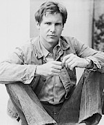 Harrison Ford . Photograph by Album