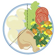 Healthy Eating Plate Photograph by Science Photo Library