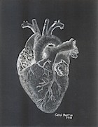 Heart Drawing by Carol Morris