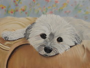 Heidi Pastel by Carol Corliss