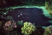 Helicopter Photograph by Kim Steele