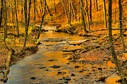 Hells Hollow Autumn Landscape Photograph by Adam Jewell