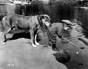 Helpful Dog Photograph by General Photographic Agency