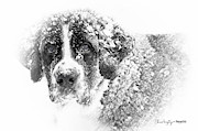 Hero Photograph by Chris Armytage