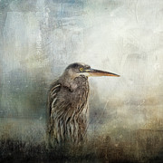 Hiding In The Reeds Photograph by Jai Johnson