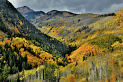 Highway 145 Fall Colors in the Spotlight Photograph by Ray Mathis