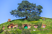 Hobbiton - New Zealand Photograph by Joana Kruse