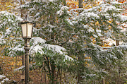 Holidayesque Photograph by Amfmgirl Photography