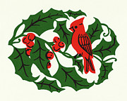 Holly Berries, Leaves, and a Cardinal Drawing by CSA Images Holly Berries, Leaves, and a Cardinal Drawing by CSA Images