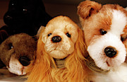 Homeless toys Photograph by Tatiana Travelways Homeless toys Photograph by Tatiana Travelways
