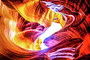 Honeycomb Swirls Photograph by Az Jackson