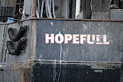 Hopefull Photograph by Linda Bonaccorsi