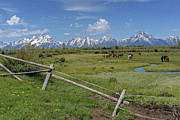 Horses grazing with a view Photograph by Ronnie And Frances Howard