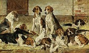 Hounds At Rest Painting by John Emms
