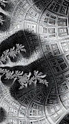Monochrome Fractal Abstract-House Plants Digital Art by Shelli Fitzpatrick