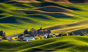 Houses In The Farm Land Photograph by Eileen