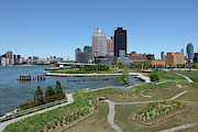 Hunter's Point South Park Photograph by Cate Franklyn