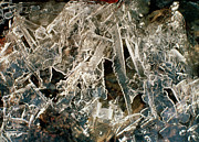 Ice Crystals In A Pond Of Freezing Water Photograph by Science Photo Library