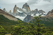 Idyllic Landscape Of Monte Fitz Roy Photograph by Max Seigal