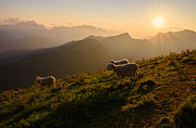 In The Mountains Photograph by Ales Krivec