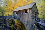 In the Smoky's  Photograph by Jon Glaser