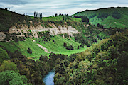 In The Valley Photograph by Nisah Cheatham