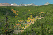 Indian Peaks Autumn Landscape View Photograph by James BO Insogna