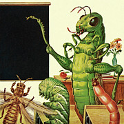 Insect Classroom Drawing by CSA Images Insect Classroom Drawing by CSA Images