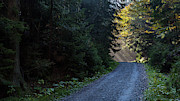 Into The Light Photograph by Andreas Levi Into The Light Photograph by Andreas Levi