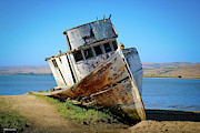 Inverness Shipwreck Photograph by Veronica Batterson Inverness Shipwreck Photograph by Veronica Batterson