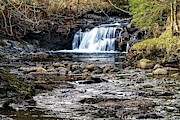 Island waterfall Photograph by Martin Smith Island waterfall Photograph by Martin Smith