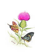 Just the Two of Us Painting by Anne Beverley-Stamps