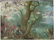 Concert Of Birds, 1660-70 Painting by Jan Van Kessel